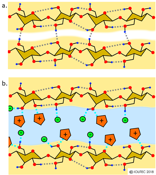 Cellulose dissolution IoLiTec